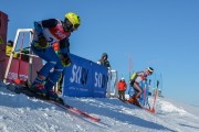 FIS Baltijas kauss 2020 paralēlais slaloms, Foto: E.Lukšo