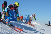 FIS Baltijas kauss 2020 paralēlais slaloms, Foto: E.Lukšo