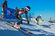 FIS Baltijas kauss 2020 paralēlais slaloms, Foto: E.Lukšo