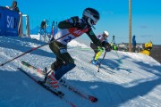 FIS Baltijas kauss 2020 paralēlais slaloms, Foto: E.Lukšo