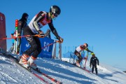 FIS Baltijas kauss 2020 paralēlais slaloms, Foto: E.Lukšo