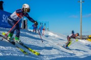 FIS Baltijas kauss 2020 paralēlais slaloms, Foto: E.Lukšo