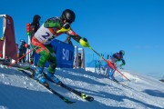 FIS Baltijas kauss 2020 paralēlais slaloms, Foto: E.Lukšo