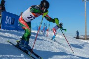 FIS Baltijas kauss 2020 paralēlais slaloms, Foto: E.Lukšo