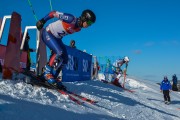 FIS Baltijas kauss 2020 paralēlais slaloms, Foto: E.Lukšo