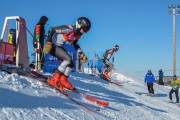 FIS Baltijas kauss 2020 paralēlais slaloms, Foto: E.Lukšo