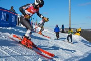 FIS Baltijas kauss 2020 paralēlais slaloms, Foto: E.Lukšo