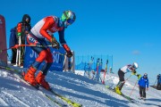 FIS Baltijas kauss 2020 paralēlais slaloms, Foto: E.Lukšo