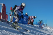 FIS Baltijas kauss 2020 paralēlais slaloms, Foto: E.Lukšo