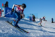 FIS Baltijas kauss 2020 paralēlais slaloms, Foto: E.Lukšo