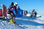 FIS Baltijas kauss 2020 paralēlais slaloms, Foto: E.Lukšo