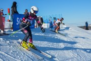 FIS Baltijas kauss 2020 paralēlais slaloms, Foto: E.Lukšo