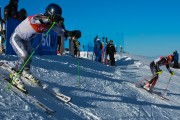 FIS Baltijas kauss 2020 paralēlais slaloms, Foto: E.Lukšo