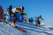 FIS Baltijas kauss 2020 paralēlais slaloms, Foto: E.Lukšo