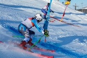 FIS Baltijas kauss 2020 paralēlais slaloms, Foto: E.Lukšo