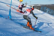 FIS Baltijas kauss 2020 paralēlais slaloms, Foto: E.Lukšo