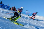 FIS Baltijas kauss 2020 paralēlais slaloms, Foto: E.Lukšo