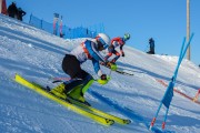 FIS Baltijas kauss 2020 paralēlais slaloms, Foto: E.Lukšo