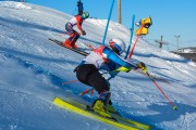 FIS Baltijas kauss 2020 paralēlais slaloms, Foto: E.Lukšo