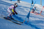 FIS Baltijas kauss 2020 paralēlais slaloms, Foto: E.Lukšo