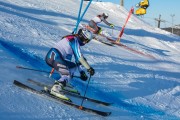 FIS Baltijas kauss 2020 paralēlais slaloms, Foto: E.Lukšo