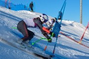 FIS Baltijas kauss 2020 paralēlais slaloms, Foto: E.Lukšo