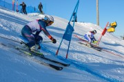 FIS Baltijas kauss 2020 paralēlais slaloms, Foto: E.Lukšo