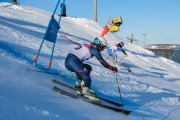 FIS Baltijas kauss 2020 paralēlais slaloms, Foto: E.Lukšo