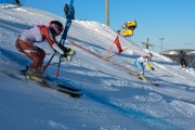 FIS Baltijas kauss 2020 paralēlais slaloms, Foto: E.Lukšo