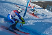 FIS Baltijas kauss 2020 paralēlais slaloms, Foto: E.Lukšo