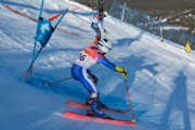 FIS Baltijas kauss 2020 paralēlais slaloms, Foto: E.Lukšo