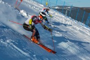 FIS Baltijas kauss 2020 paralēlais slaloms, Foto: E.Lukšo