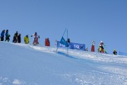 FIS Baltijas kauss 2020 paralēlais slaloms, Foto: E.Lukšo