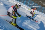 FIS Baltijas kauss 2020 paralēlais slaloms, Foto: E.Lukšo