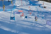 FIS Baltijas kauss 2020 paralēlais slaloms, Foto: E.Lukšo