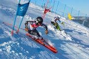 FIS Baltijas kauss 2020 paralēlais slaloms, Foto: E.Lukšo