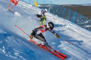 FIS Baltijas kauss 2020 paralēlais slaloms, Foto: E.Lukšo