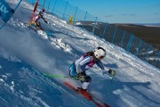 FIS Baltijas kauss 2020 paralēlais slaloms, Foto: E.Lukšo