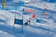 FIS Baltijas kauss 2020 paralēlais slaloms, Foto: E.Lukšo