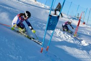 FIS Baltijas kauss 2020 paralēlais slaloms, Foto: E.Lukšo