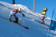 FIS Baltijas kauss 2020 paralēlais slaloms, Foto: E.Lukšo