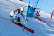 FIS Baltijas kauss 2020 paralēlais slaloms, Foto: E.Lukšo