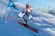 FIS Baltijas kauss 2020 paralēlais slaloms, Foto: E.Lukšo