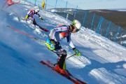 FIS Baltijas kauss 2020 paralēlais slaloms, Foto: E.Lukšo