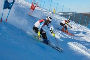 FIS Baltijas kauss 2020 paralēlais slaloms, Foto: E.Lukšo