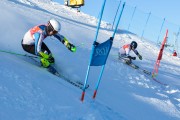 FIS Baltijas kauss 2020 paralēlais slaloms, Foto: E.Lukšo