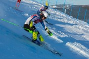 FIS Baltijas kauss 2020 paralēlais slaloms, Foto: E.Lukšo