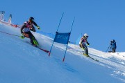 FIS Baltijas kauss 2020 paralēlais slaloms, Foto: E.Lukšo