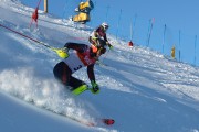 FIS Baltijas kauss 2020 paralēlais slaloms, Foto: E.Lukšo