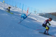 FIS Baltijas kauss 2020 paralēlais slaloms, Foto: E.Lukšo